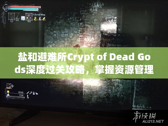 鹽和避難所Crypt of Dead Gods深度過關(guān)攻略，掌握資源管理的藝術(shù)與策略