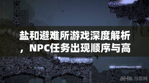 鹽和避難所游戲深度解析，NPC任務出現(xiàn)順序與高效資源管理策略