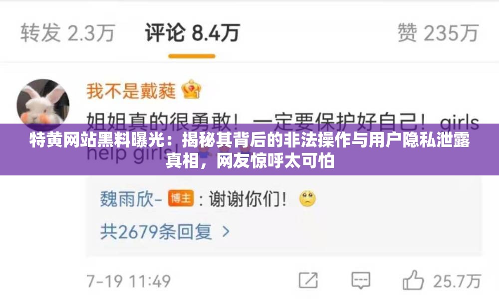 特黃網(wǎng)站黑料曝光：揭秘其背后的非法操作與用戶隱私泄露真相，網(wǎng)友驚呼太可怕