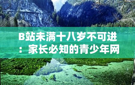 B站未滿十八歲不可進(jìn)：家長(zhǎng)必知的青少年網(wǎng)絡(luò)保護(hù)指南與應(yīng)對(duì)策略