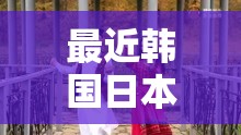 最近韓國(guó)日本免費(fèi)高清觀看MV熱門(mén)推薦：最新流行音樂(lè)視頻一網(wǎng)打盡，暢享視聽(tīng)盛宴