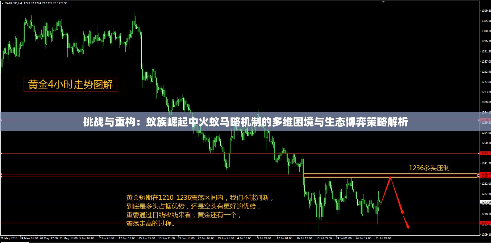 挑戰(zhàn)與重構(gòu)：蟻族崛起中火蟻馬略機(jī)制的多維困境與生態(tài)博弈策略解析